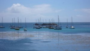 De baai waarin wij liggen : Porth Cressa St'Mary's