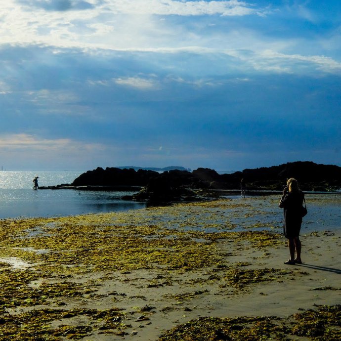 Prachtig strand, elke keer weer.