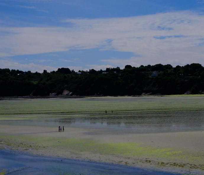 Het droomlandschap van Binic.
