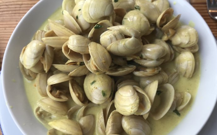 De heerlijke patagos van Ile d'Yeu