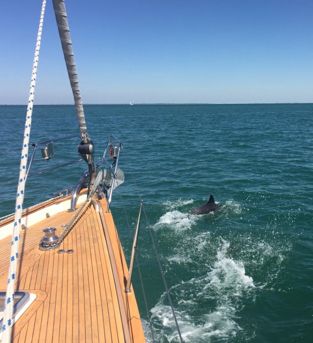 Alleen de laatste grote plons is vastgelegd.