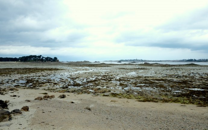 Gisteren zeilden we hier langs Ile de Batz en zo ziet het er uit bij laag water.