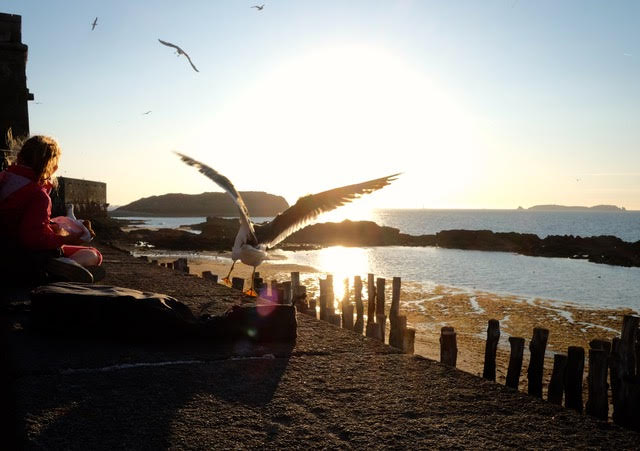 Iedereen geniet, ook de meeuwen.