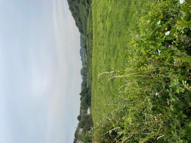 Een wandeling in de heuvels bij Diélette.