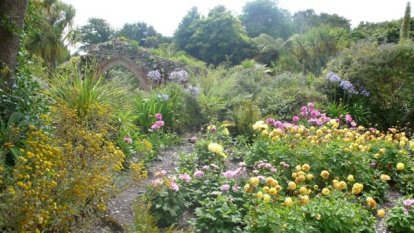 Abbey Garden in Tresco