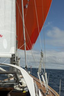 Zeilend met de gennaker