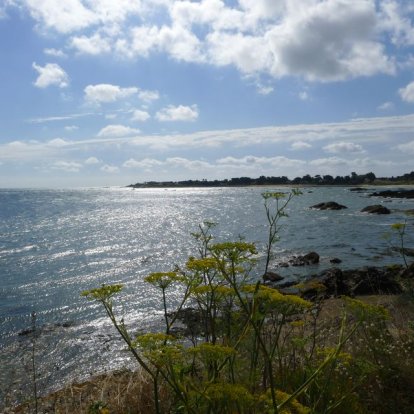 Mooi, elke keer weer.